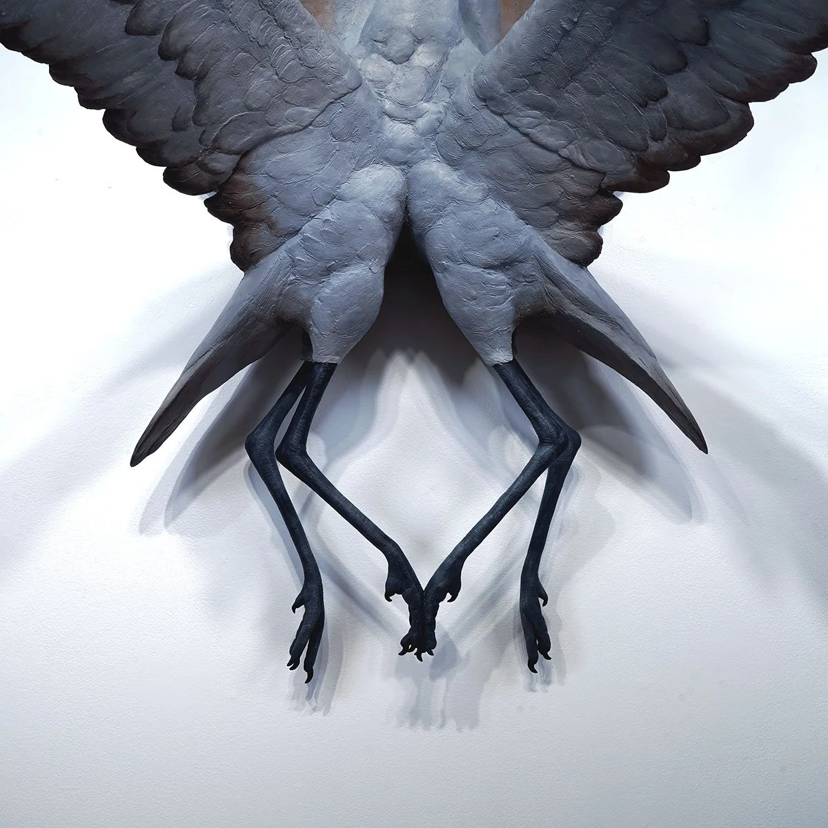 SERAPHIM: Sandhill Cranes