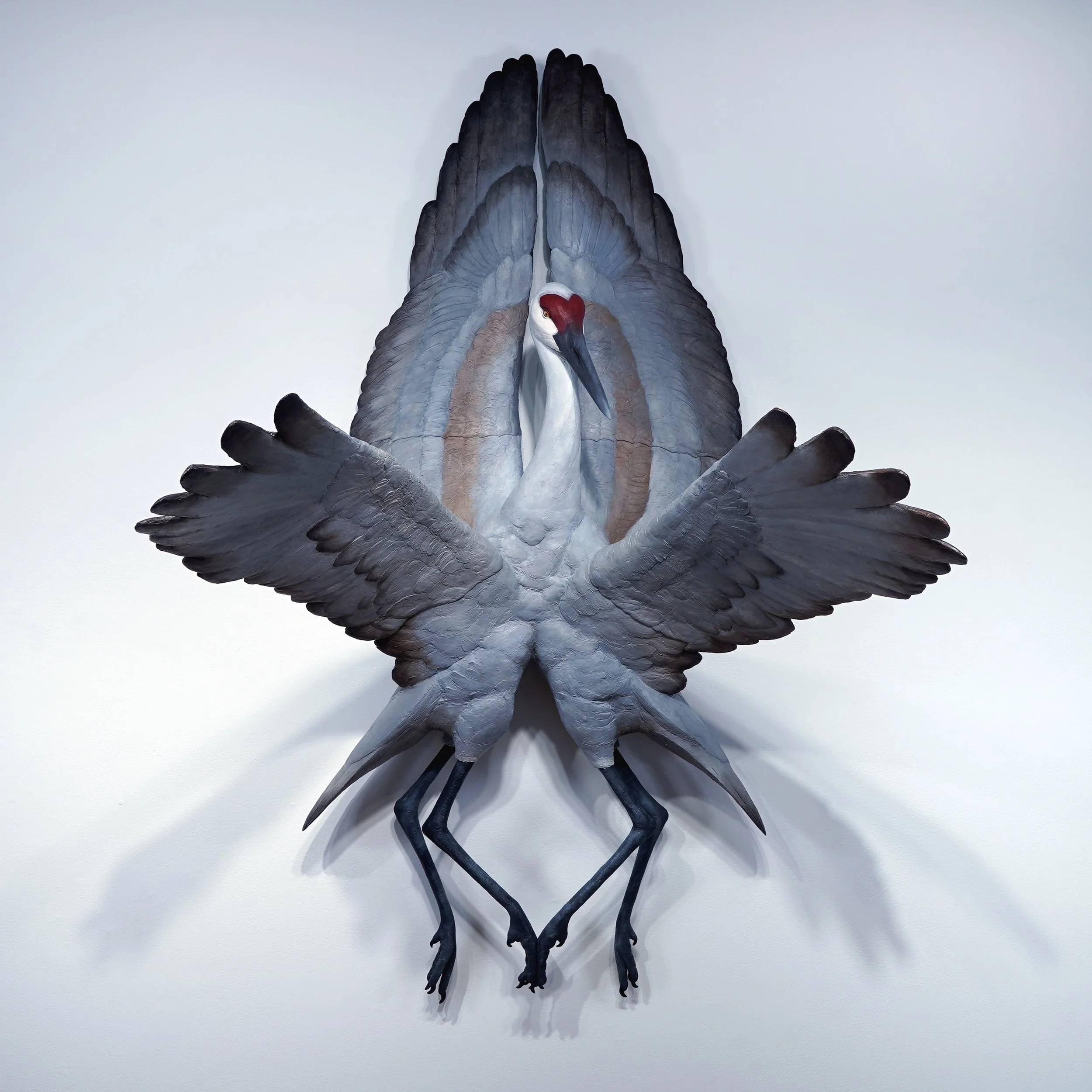 SERAPHIM: Sandhill Cranes