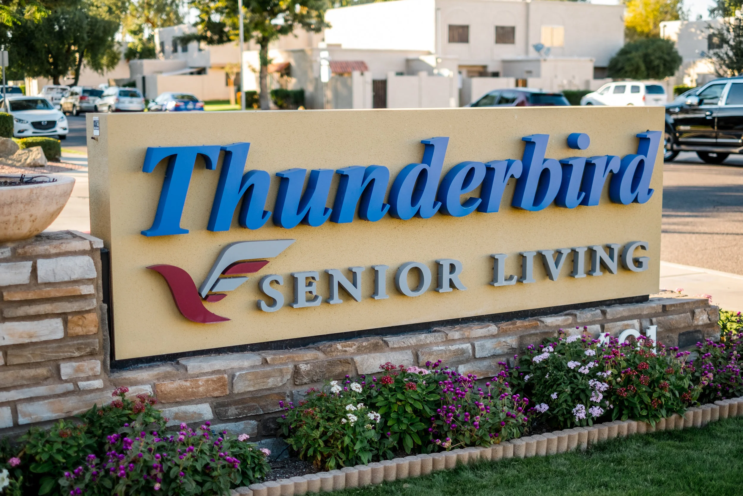 Thunderbird-115946.jpg