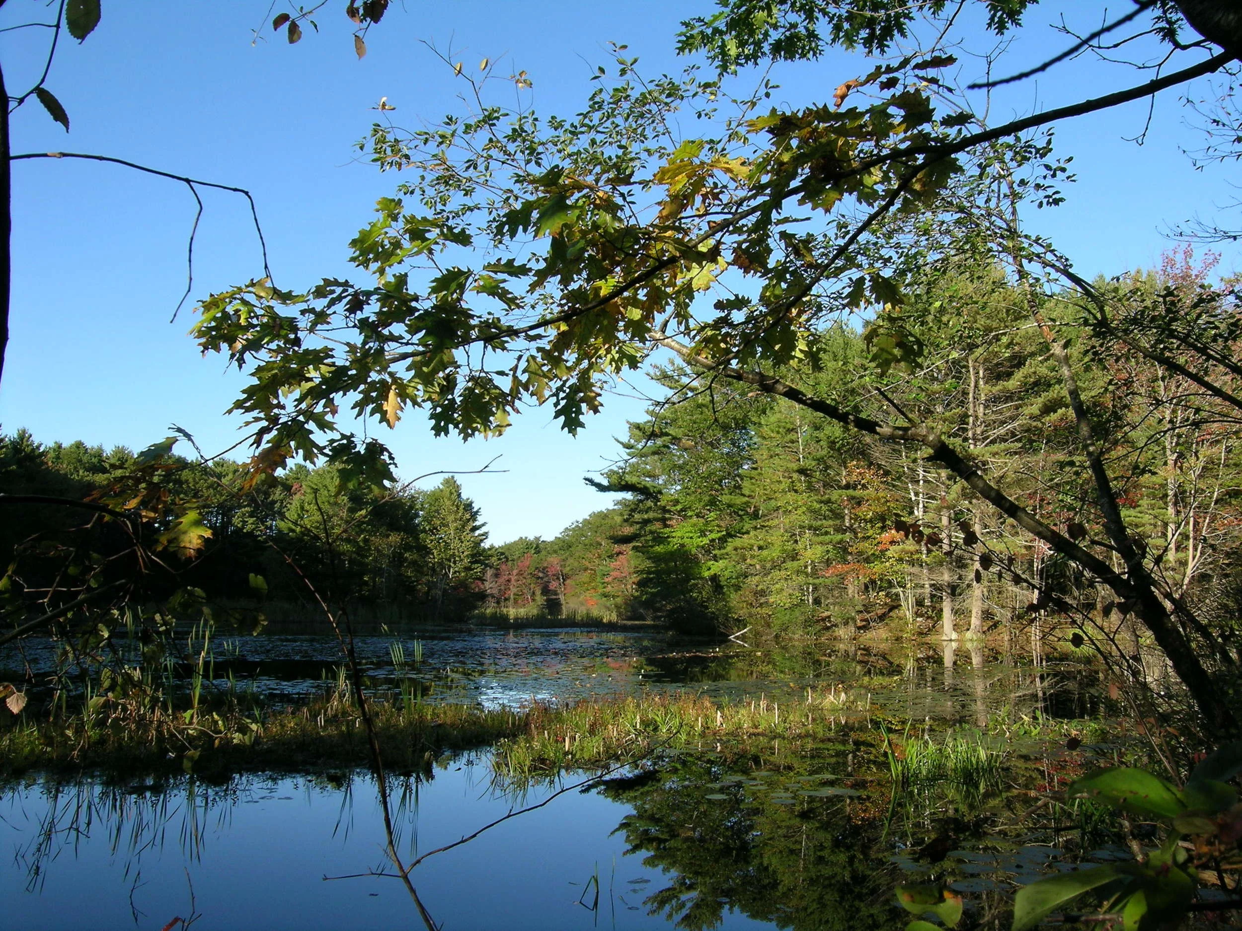  View of Deering Pond in Kittery, Maine. 