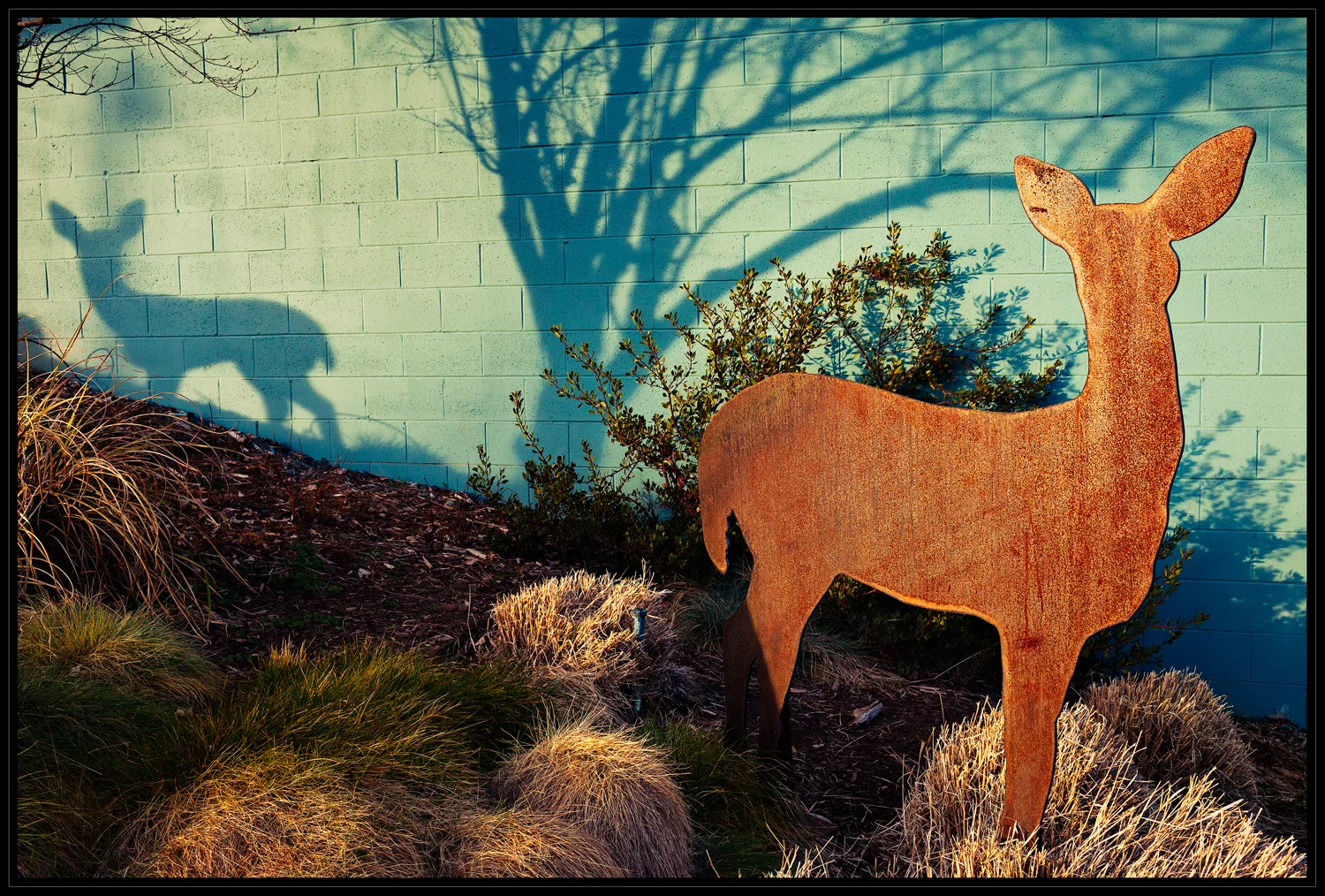 201302_3045-Edit 12x18.jpg