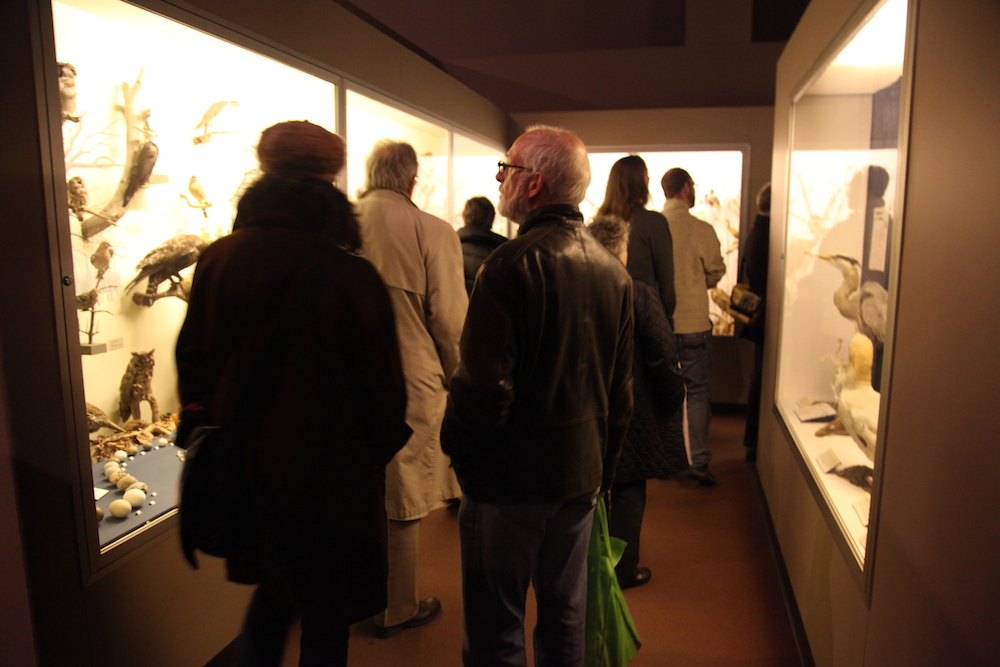   Tuck , live performance at the Nova Scotia Museum of Natural History in Halifax. Nocturne 2012. (Photo Credit: Leigh Kirkpatrick) 