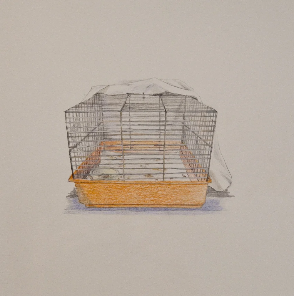 Cage , 9" x 10", colored pencil and gouache on paper, 2013