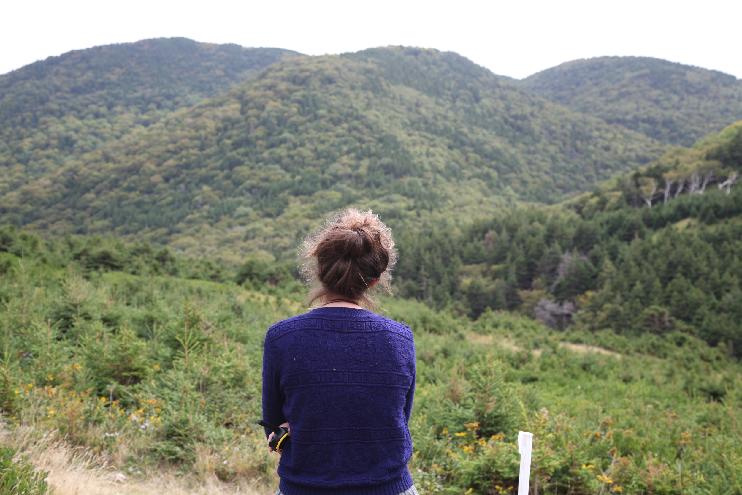   Protect Your Love, Cape Breton Highlands Site , C-Print, 16" x 24", 2012 