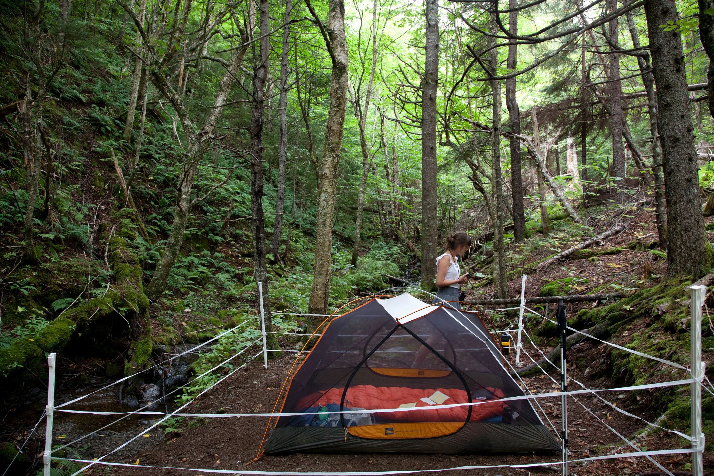 Protect Your Love, Cape Chignecto Site , C-Print, 16" x 24", 2012