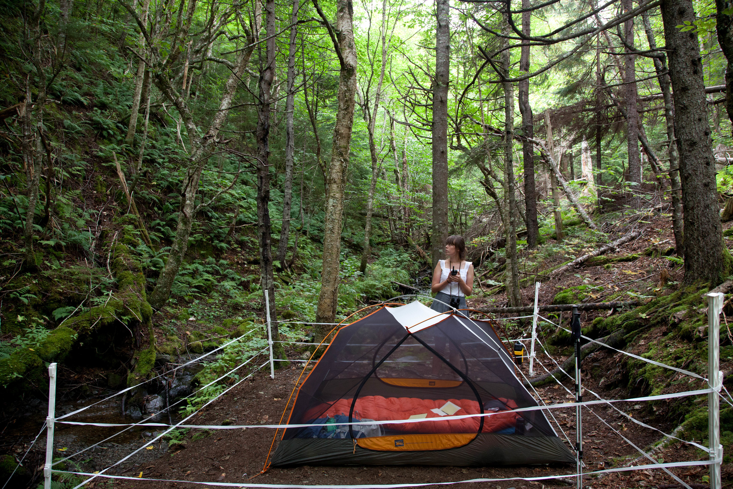   Protect Your Love, Cape Chignecto Site , C-Print, 16" x 24", 2012 