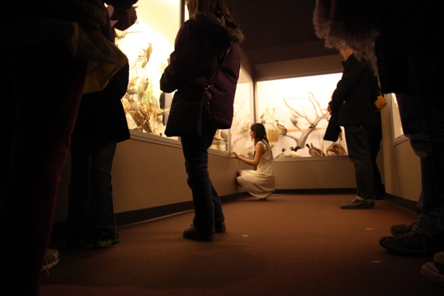   Tuck , live performance at the Nova Scotia Museum of Natural History in Halifax. Nocturne 2012. (Photo Credit: Leigh Kirkpatrick) 