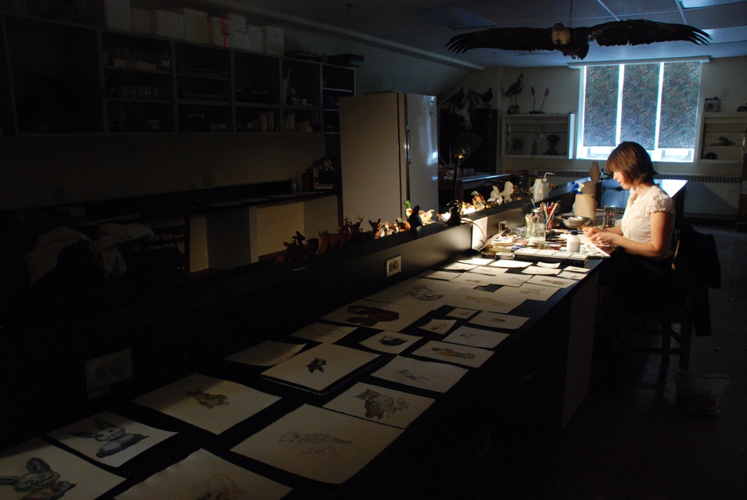   Keepers , performance with Canadian wildlife figurines, Mount Allison University Biology Lab, part of Struts Gallery and Owens Art Gallery's Annual Symposium of Art, Sackville, NB, 2009. 