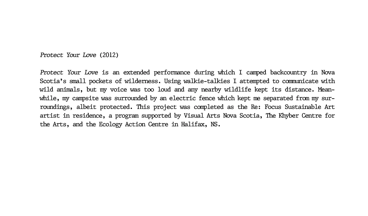D'Arcy Website Protet Your Love.jpg