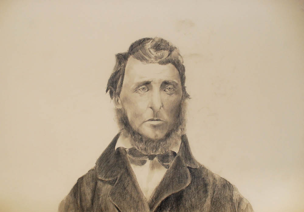   Sad Thoreau    pencil on paper, 22" x 33", 2012 