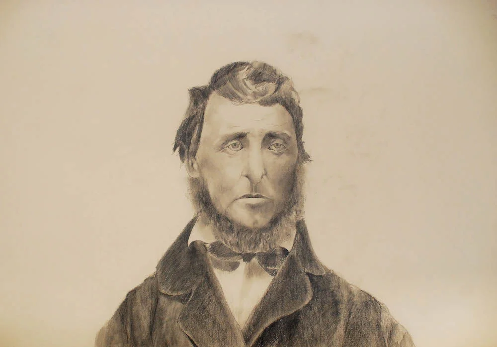 Sad Thoreau pencil on paper, 22" x 33", 2012