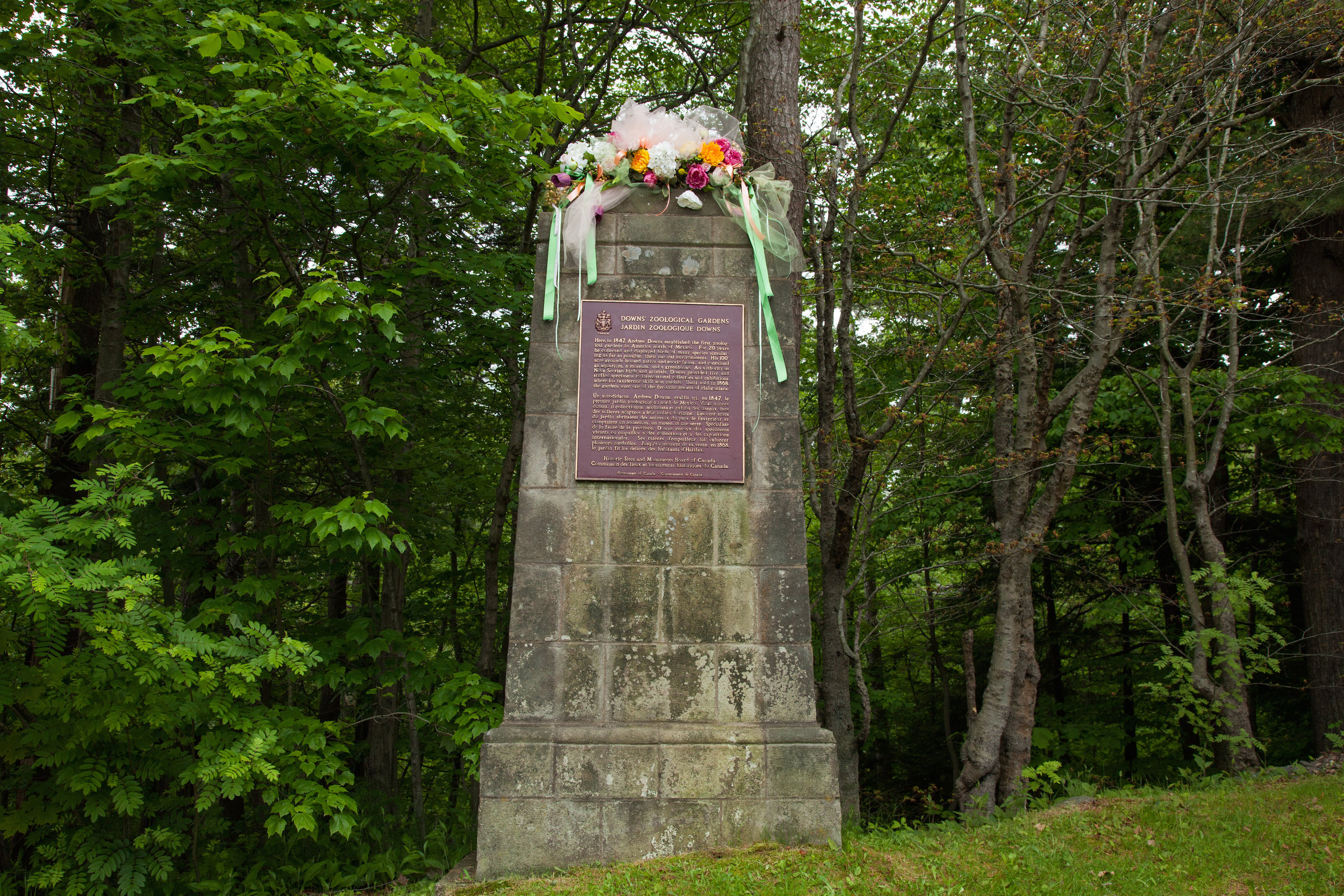  Stone monument (adorned with flowers) erected in the 1950's, marking the original entrance to Downs' Zoological Gardens on Joseph Howe Drive, Halifax, NS. 