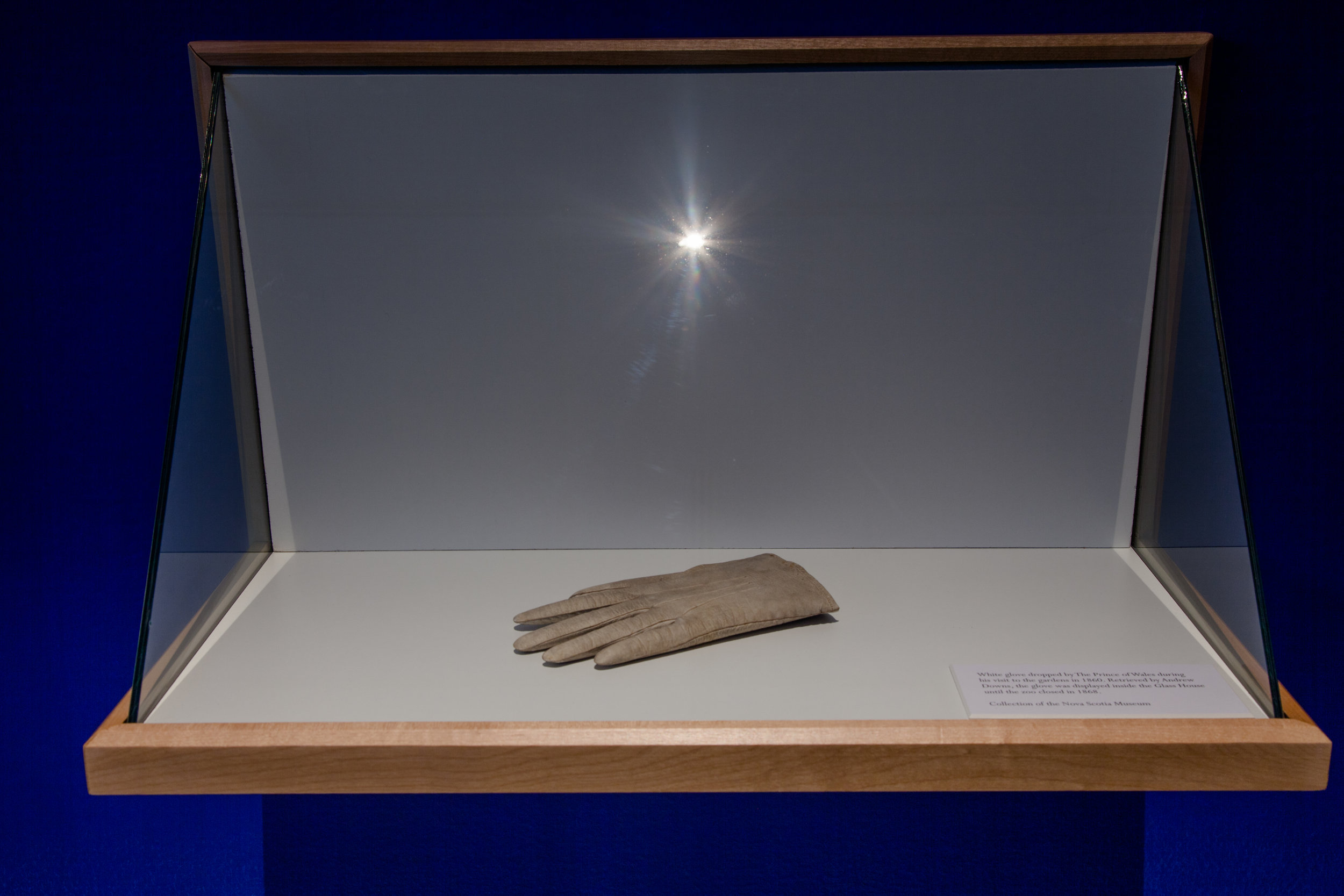   White glove dropped by The Prince of Wales during his visit to the gardens in 1860. Retrieved by Andrew Downs, the glove was displayed inside the  Glass House  until the zoo closed in 1868. (Collection of the Nova Scotia Museum) 