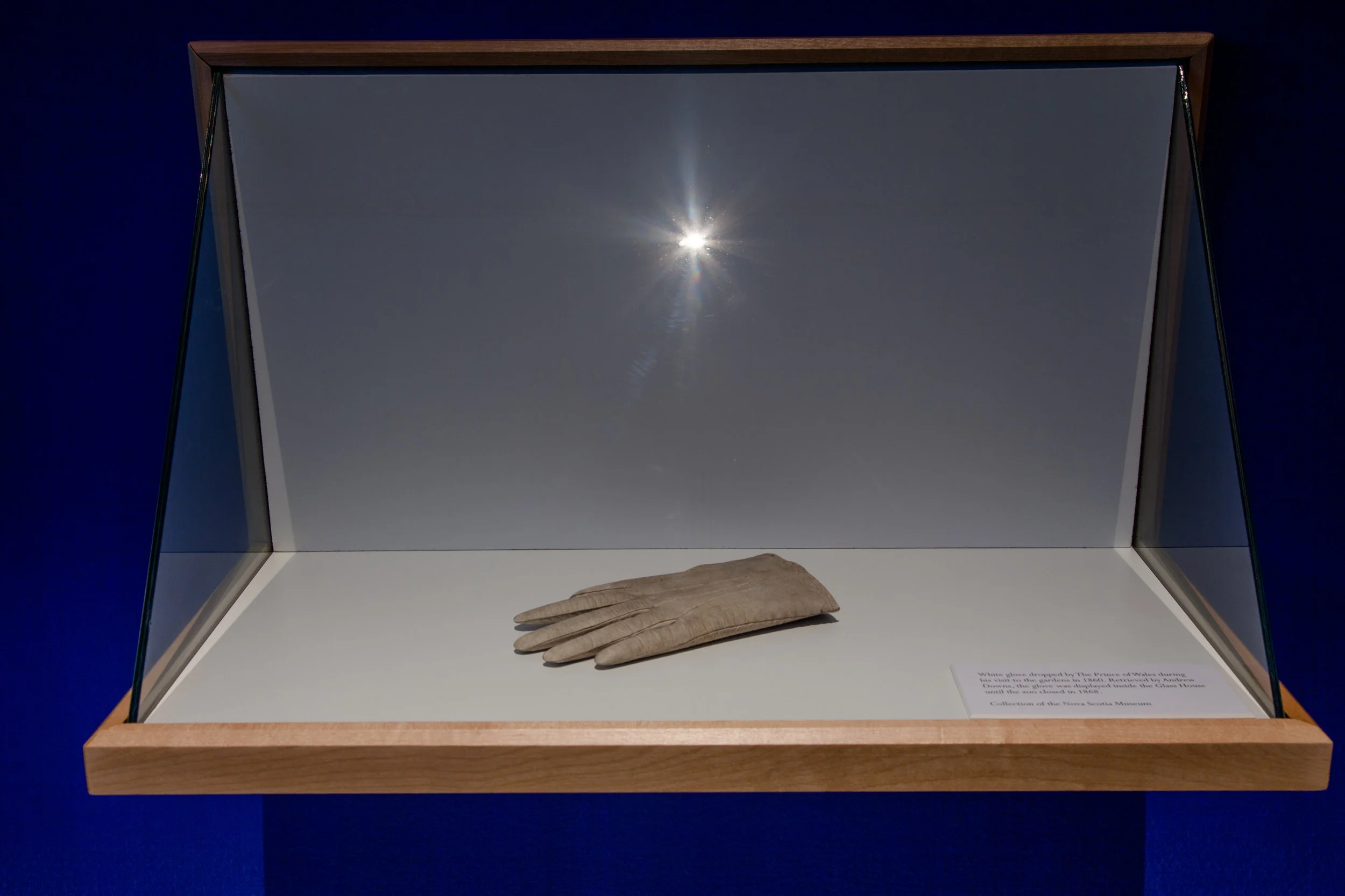 White glove dropped by The Prince of Wales during his visit to the gardens in 1860. Retrieved by Andrew Downs, the glove was displayed inside the Glass House until the zoo closed in 1868. (Collection of the Nova Scotia Museum)