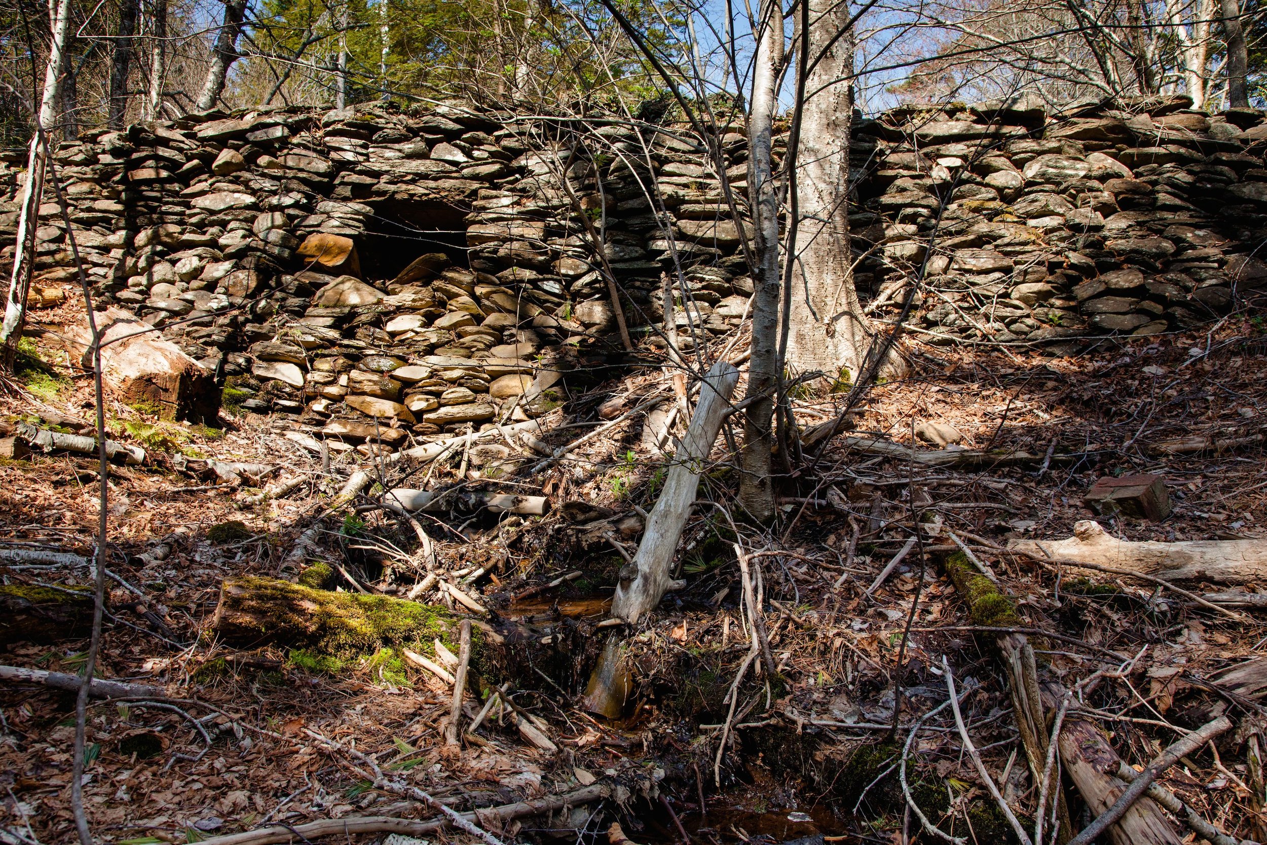 The ruins of the polar bear pit of Downs' Zoological Gardens, documented in Halifax, Spring 2015.
