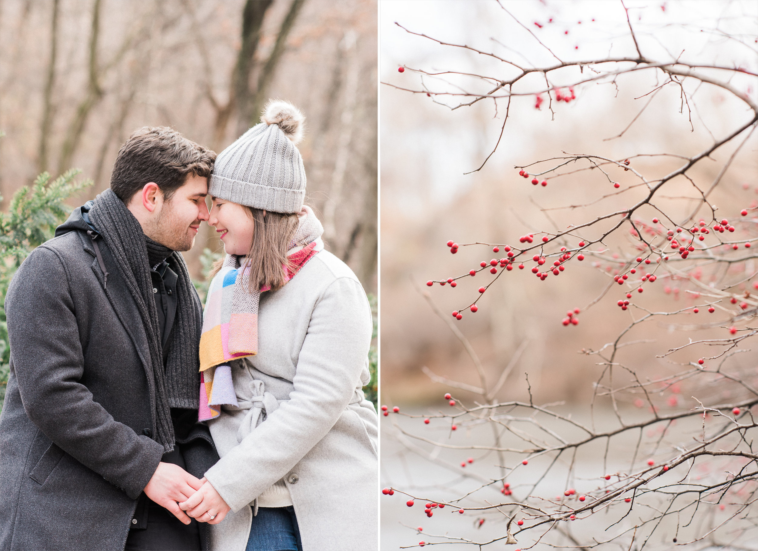 Gapstow Bride Proposal.jpg