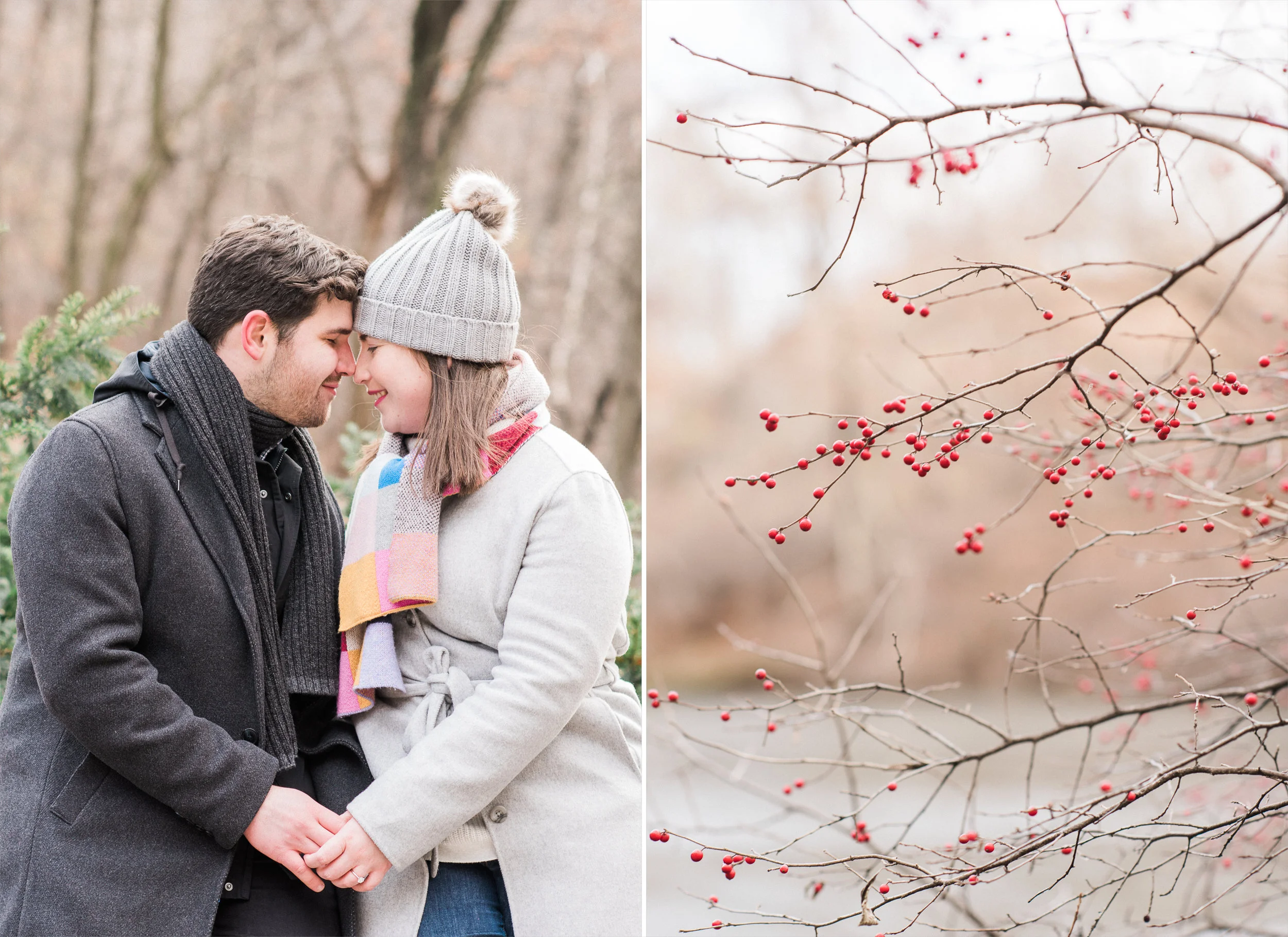 Gapstow Bride Proposal.jpg