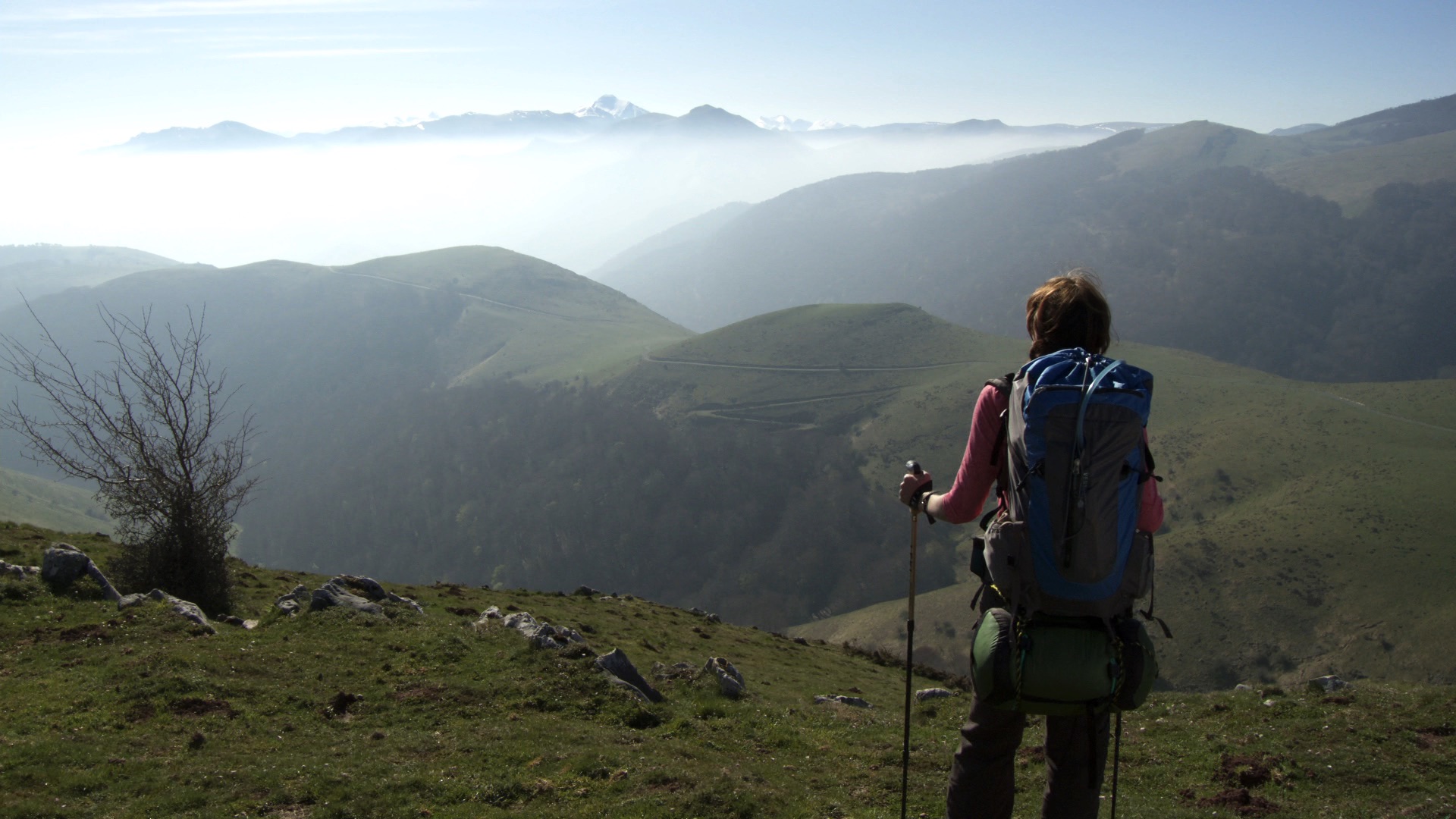 Annie Part of it All, Walking the Camino: Six Ways to Santiago, 2013