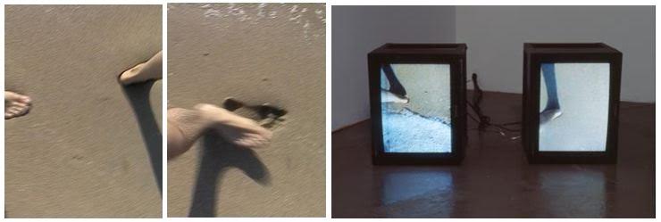 Janine Antoni and Paul Ramirez Jonas, Migration (1999)