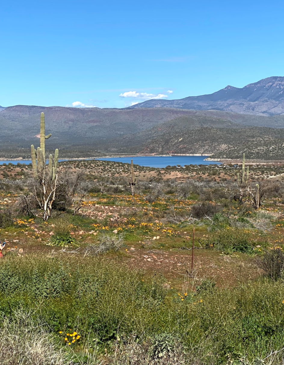 Screen Shot 2020-06-30 at 1.48.14 PM.png