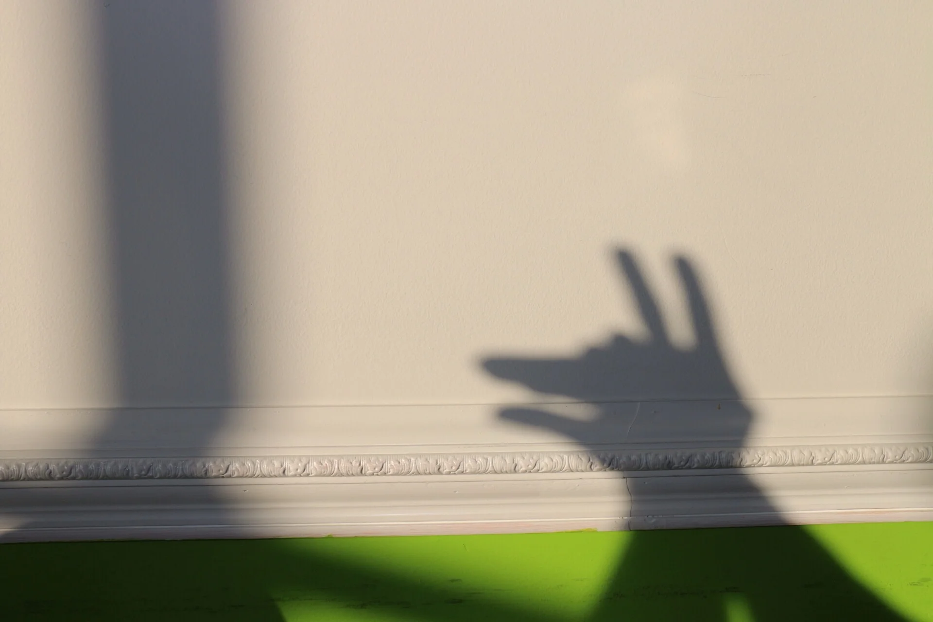 Shadow puppets, because my husband is a kid at heart. LOL