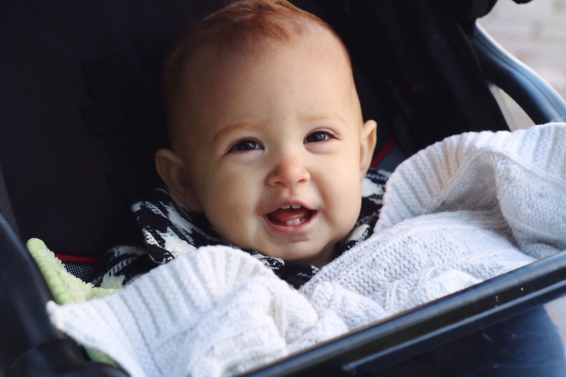 She has seven of the cutest, SHARPEST teeth. 
