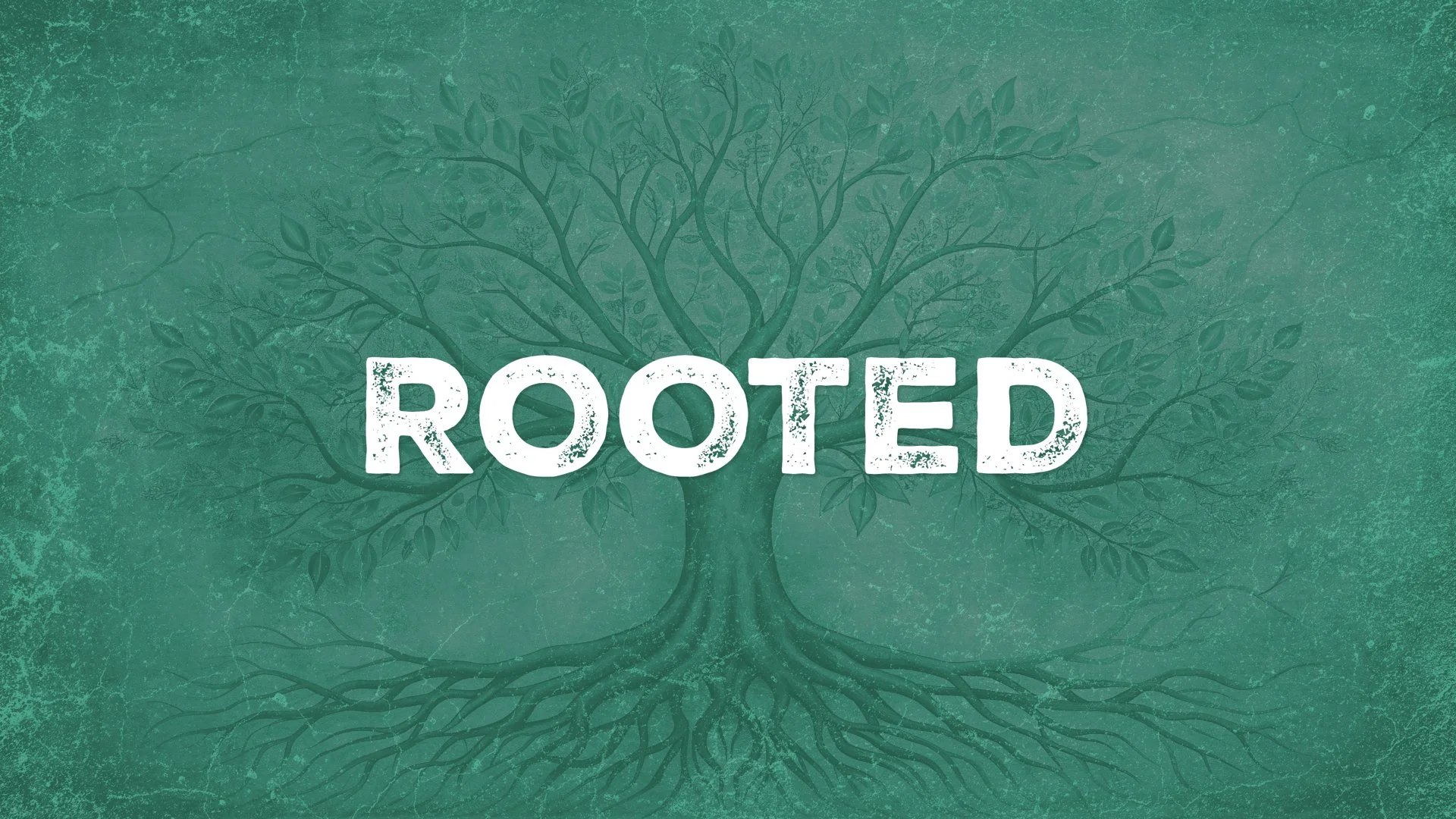 Rooted - Week Four (Antrim) 