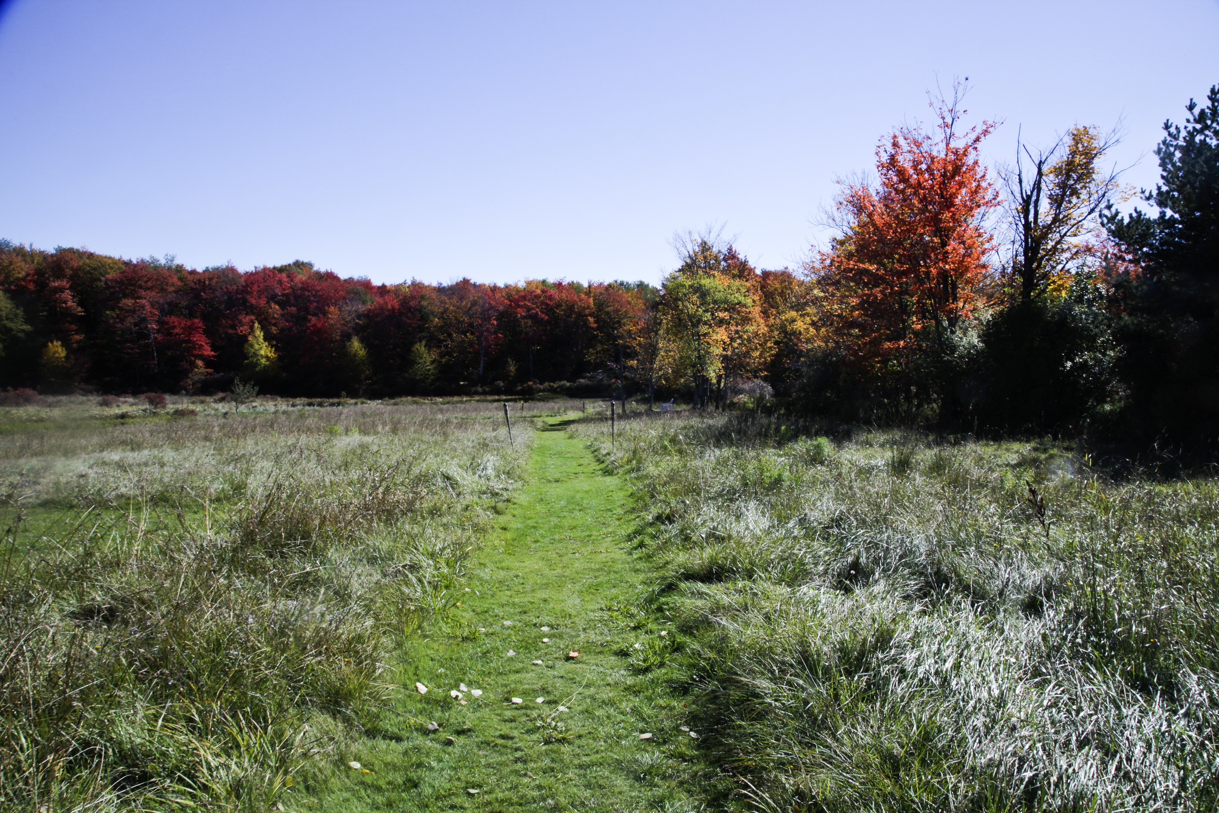 The Meadows at The Arnold House