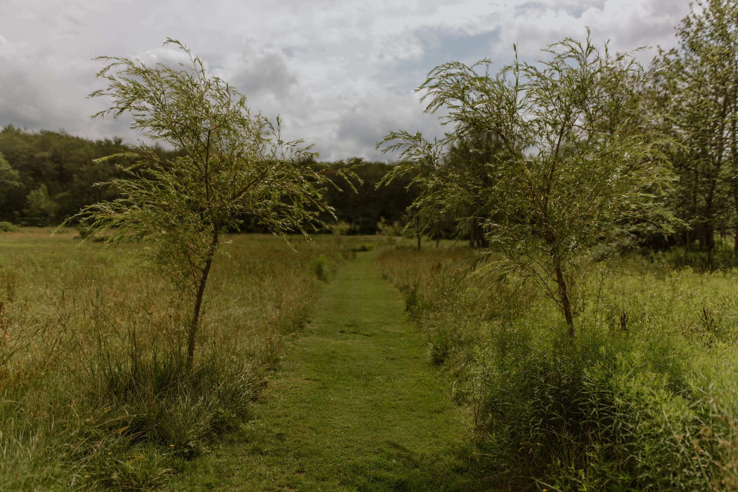 A Wedding Ceremony Site in our Meadows