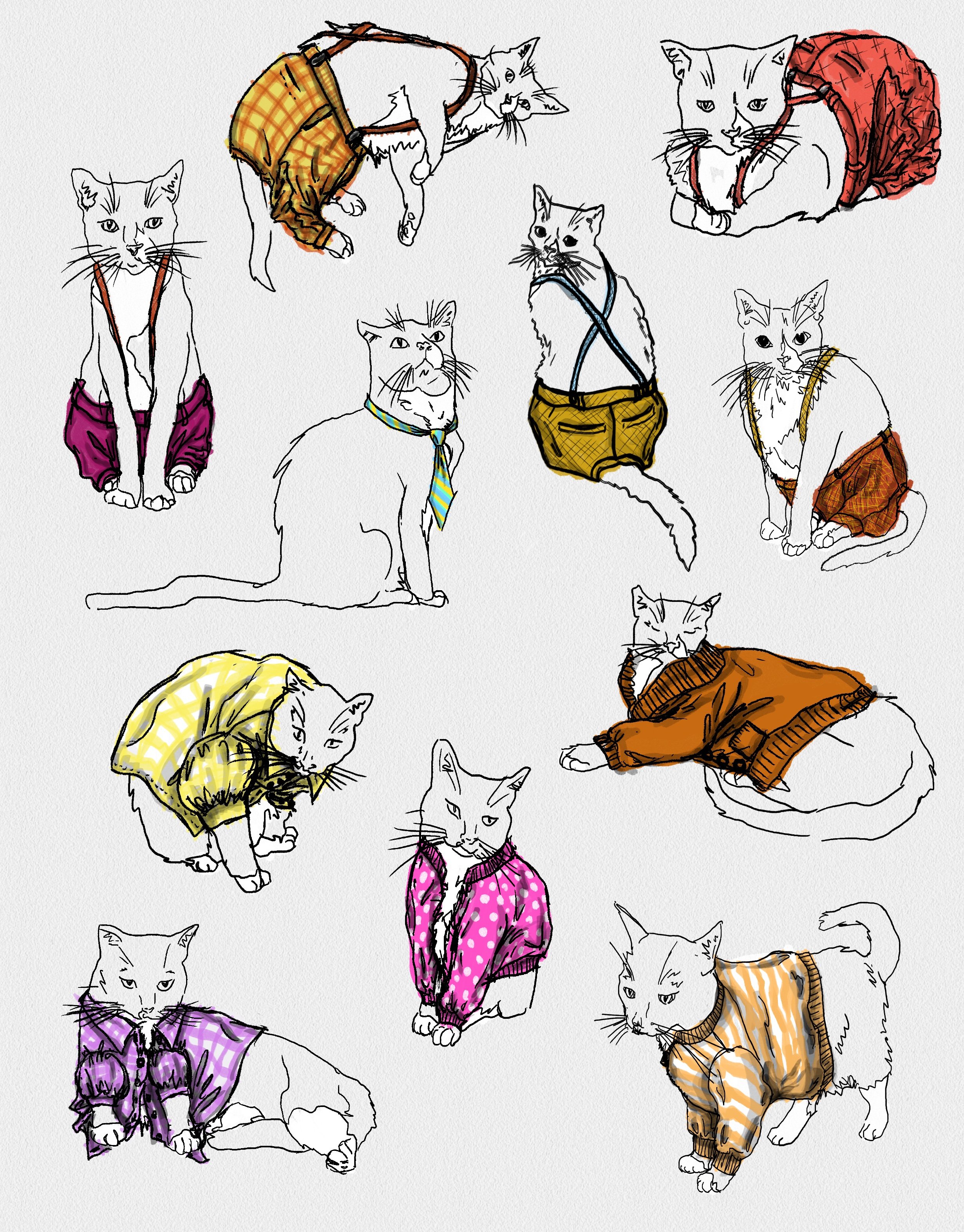 My Cats in Clothes