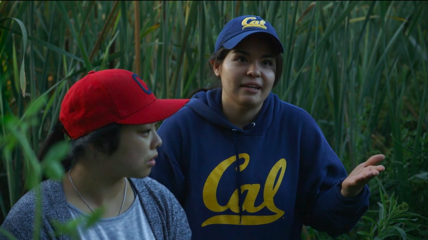  Jonathan Demme's  What's Motivating Hayes  