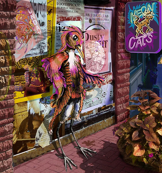 Bird City 1 - Romeo
