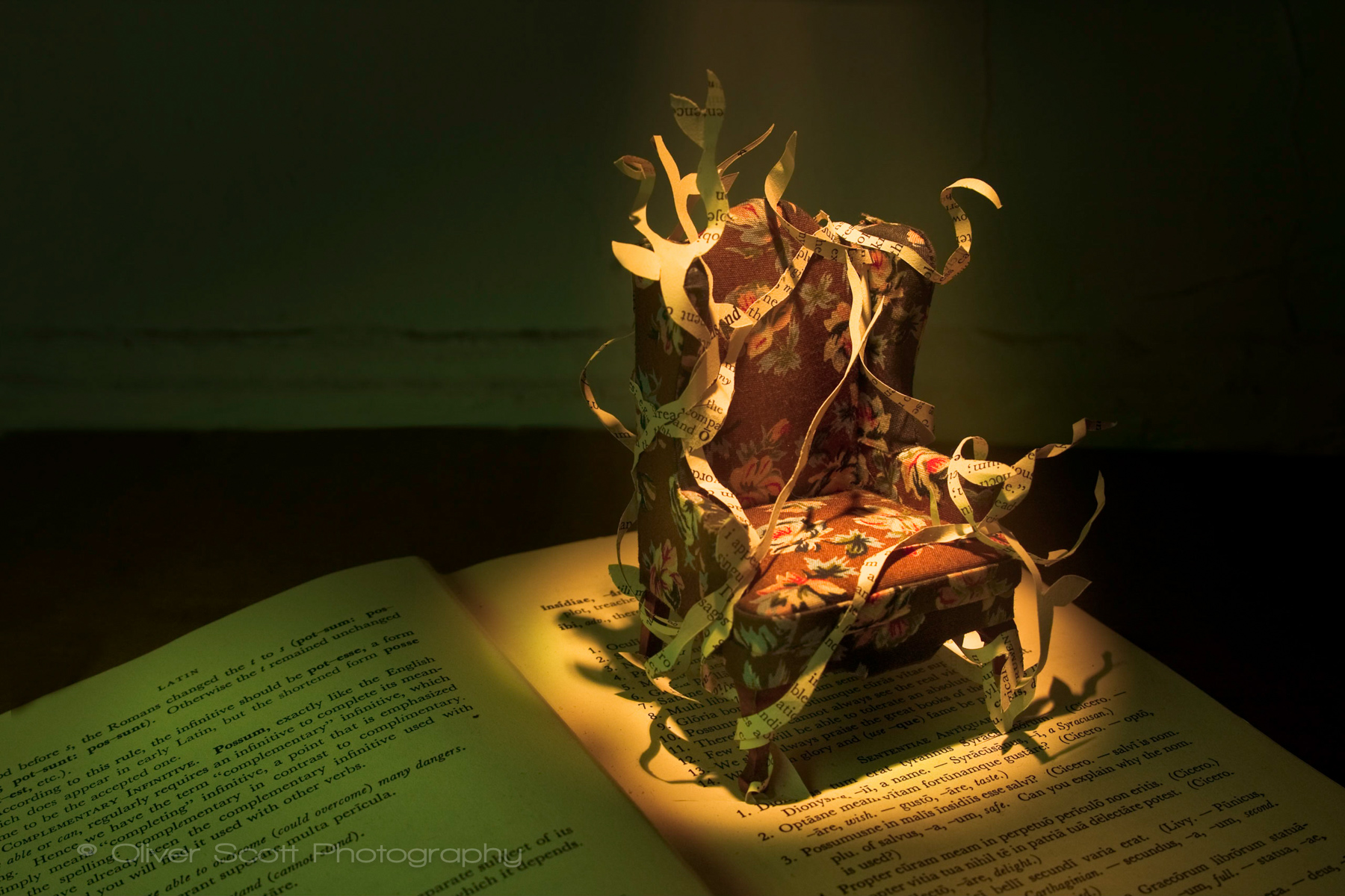 OliverScottPhoto_StillLife_003.jpg