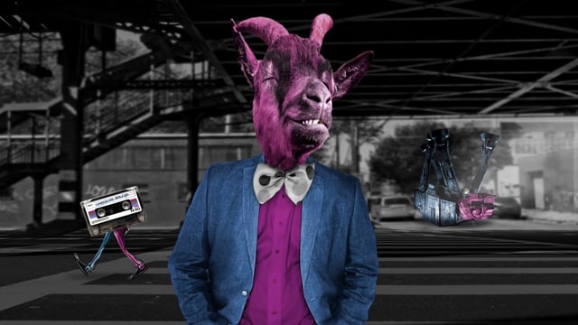steve goat