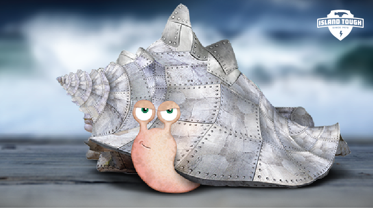 it_conch.png