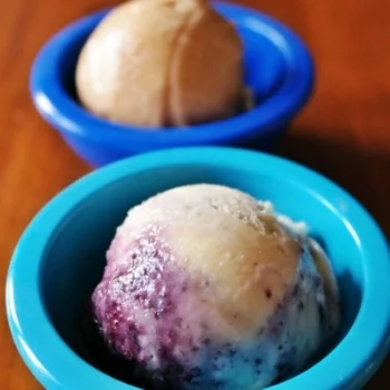 Using the recipe below, I created flavor variations of Blueberry Chamomile Swirl and Salted Caramel Cinnamon Ice Cream.