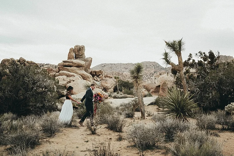 JoshuaTree-47.jpg