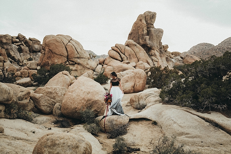 JoshuaTree-26.jpg