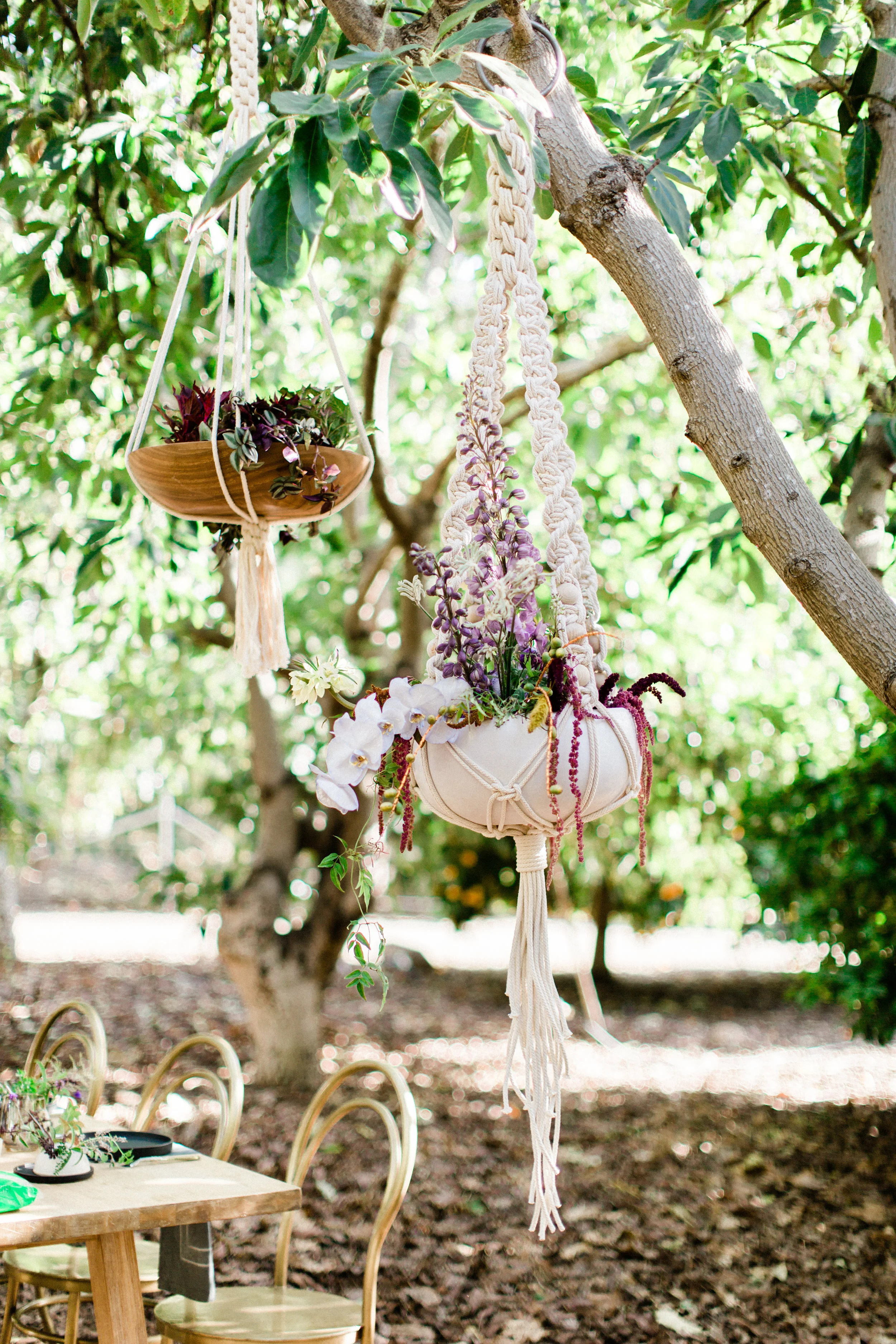 Ojai-14.jpg