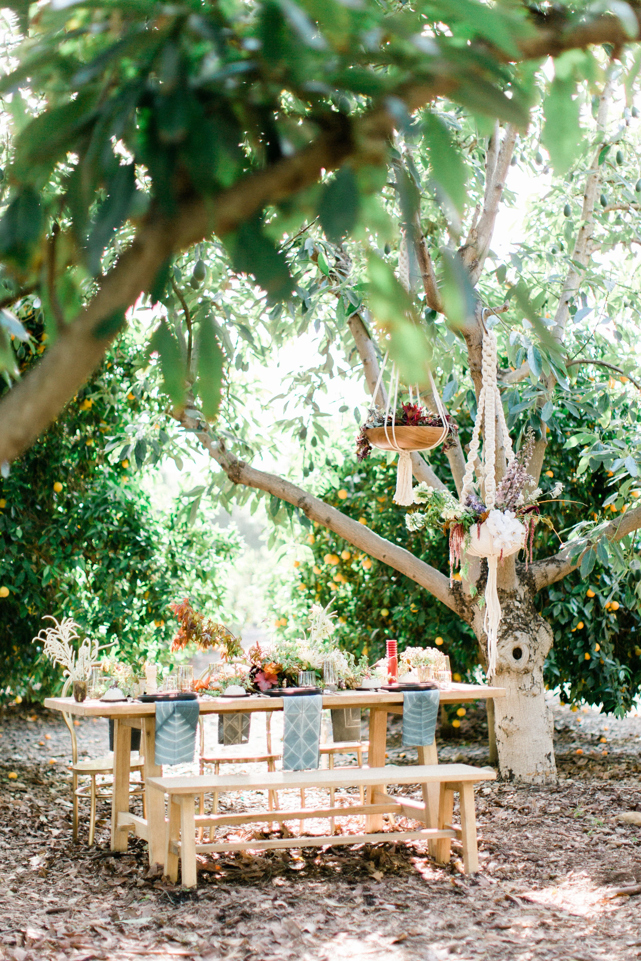 Ojai-25.jpg