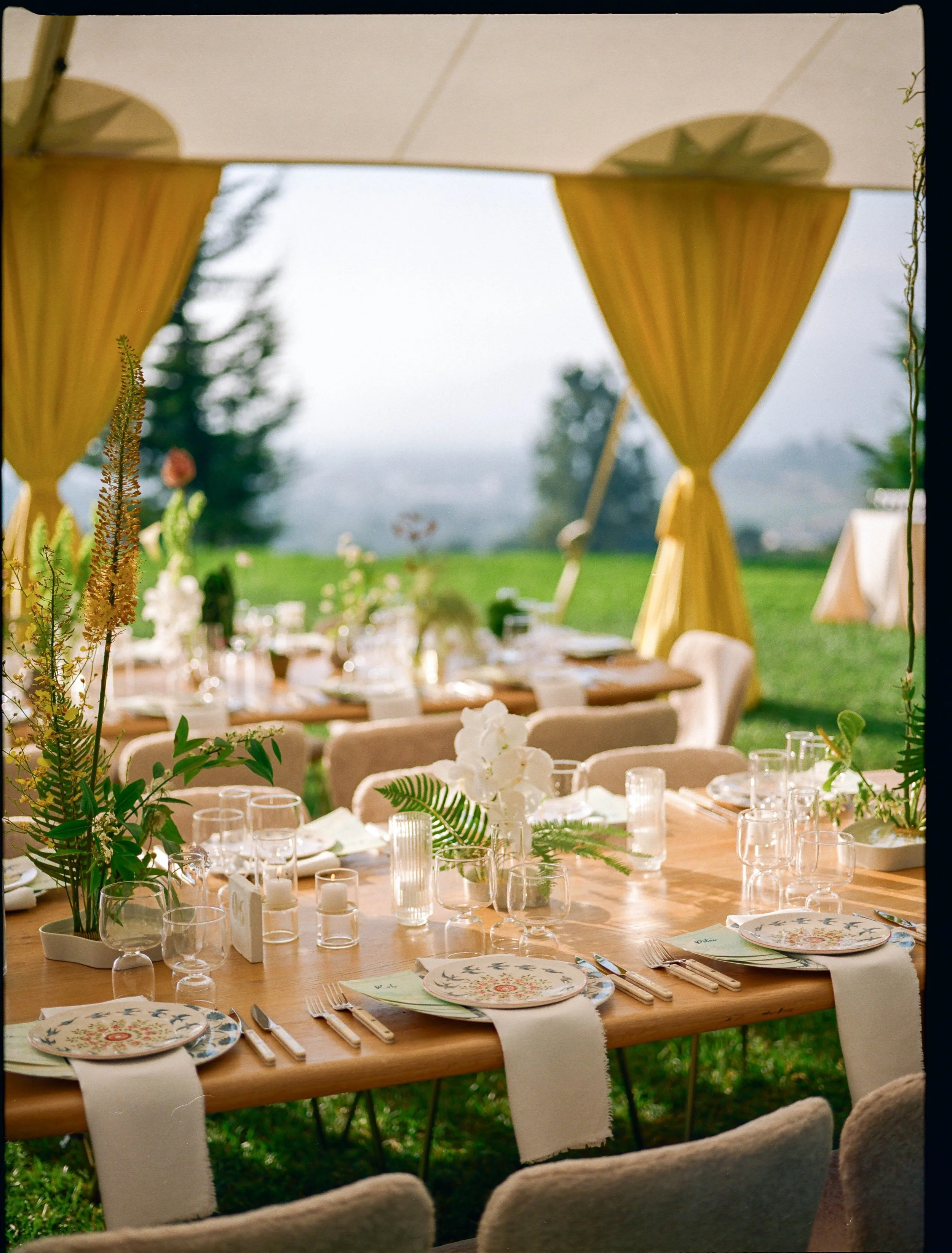 going-steady-studios-architectural-greenery-wedding-pergola-rincon.jpg