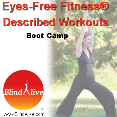 Boot Camp CD Art