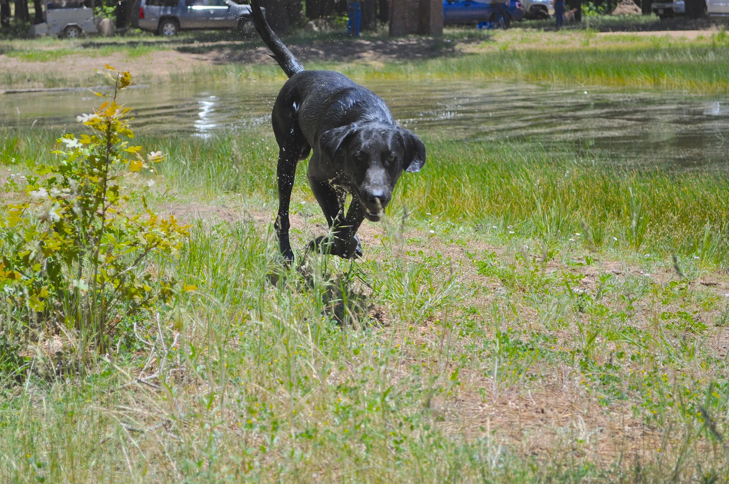 DSC_0146.jpg