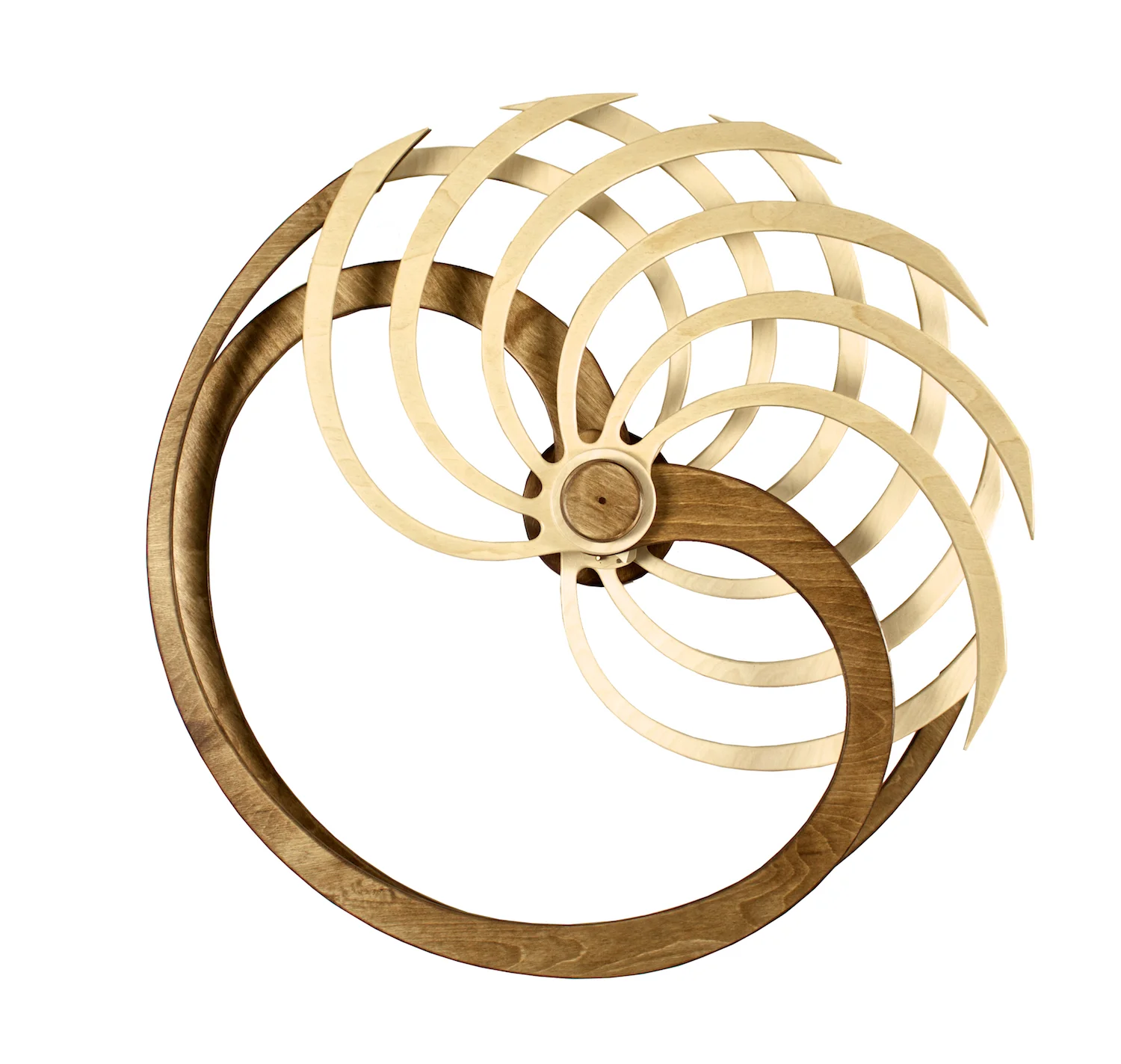 Nautilus Kinetic Sculpture by David C. Roy 4.jpg