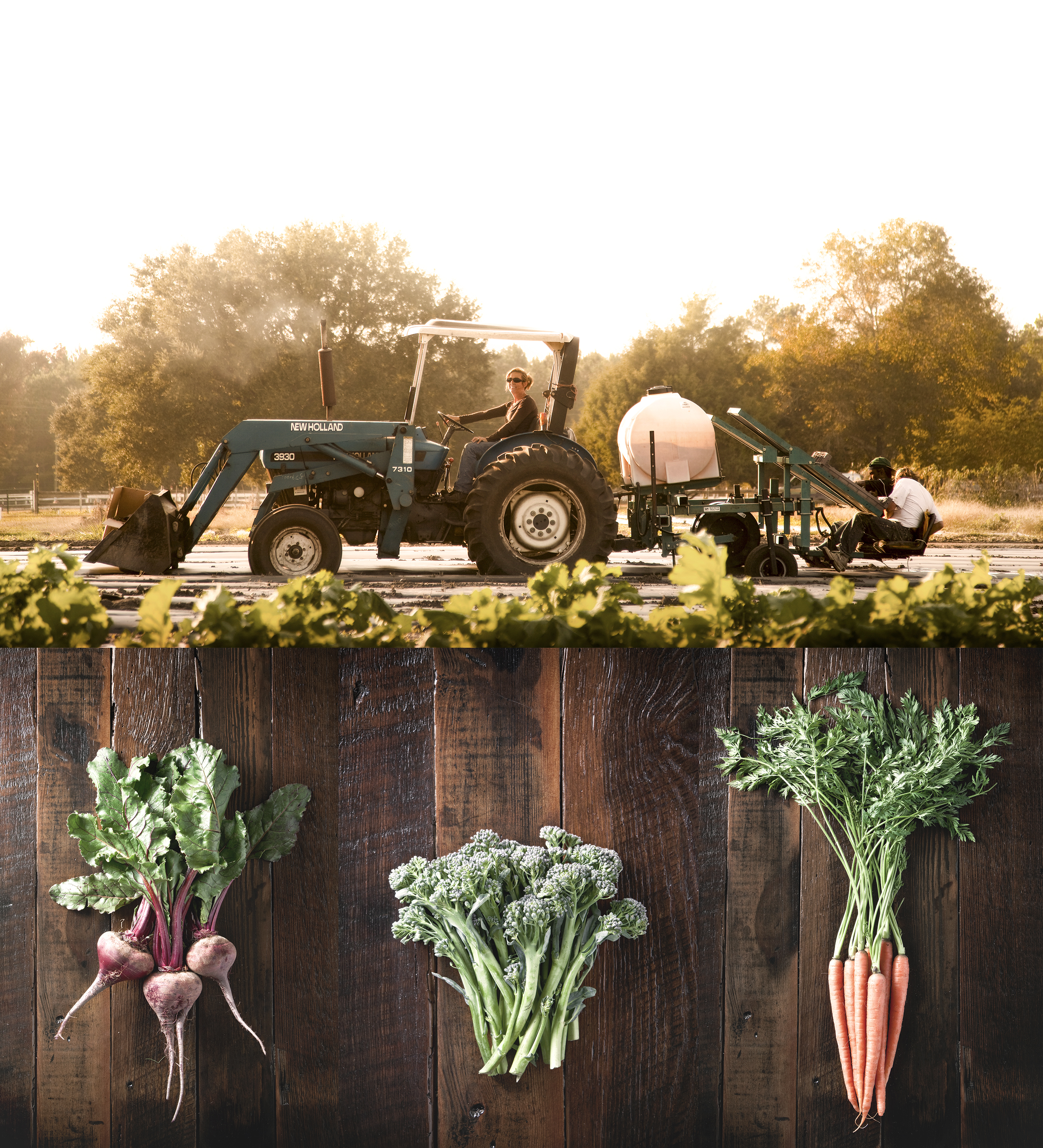 farm to table food photography
