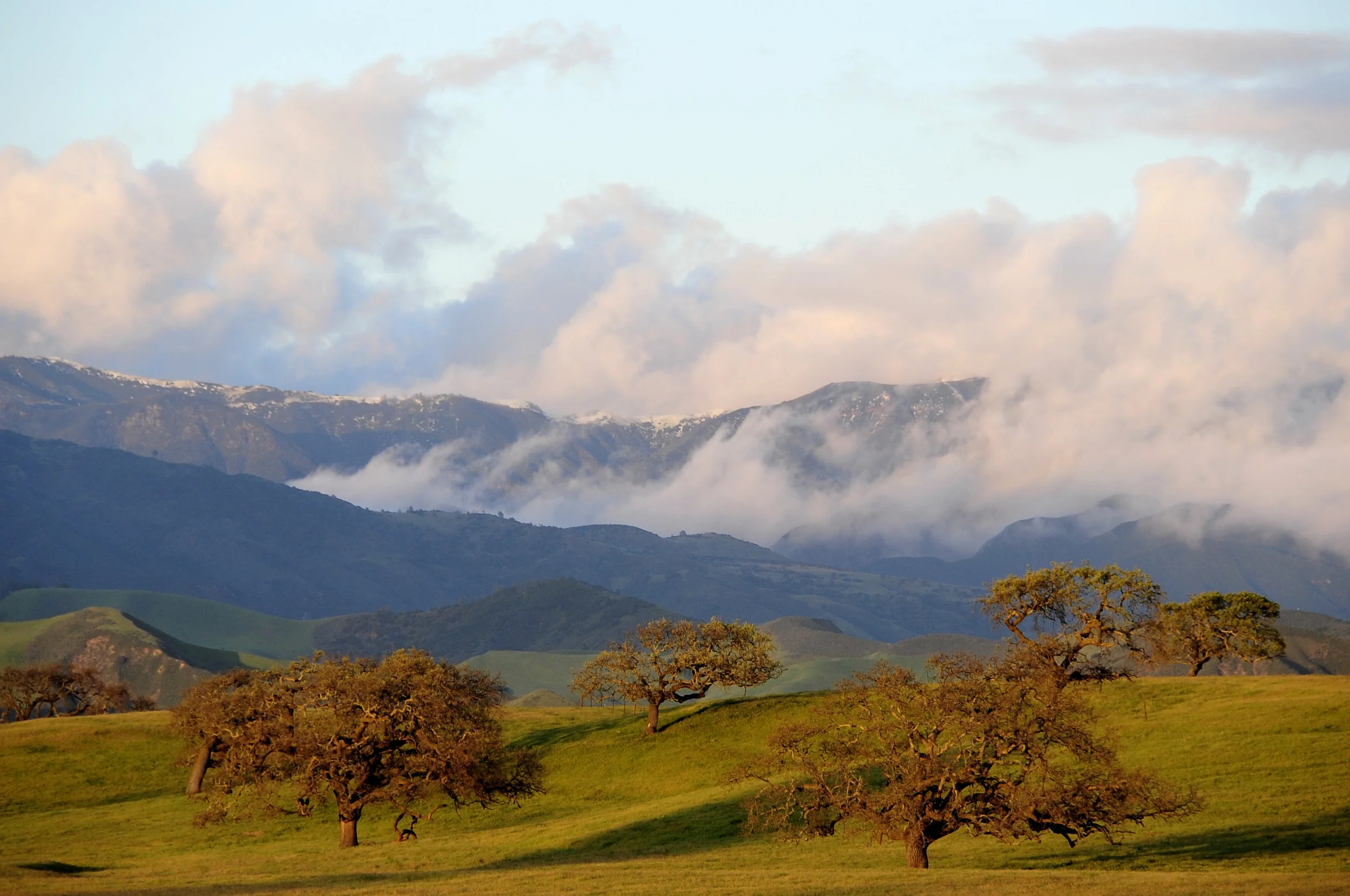 Santa Ynez Valley