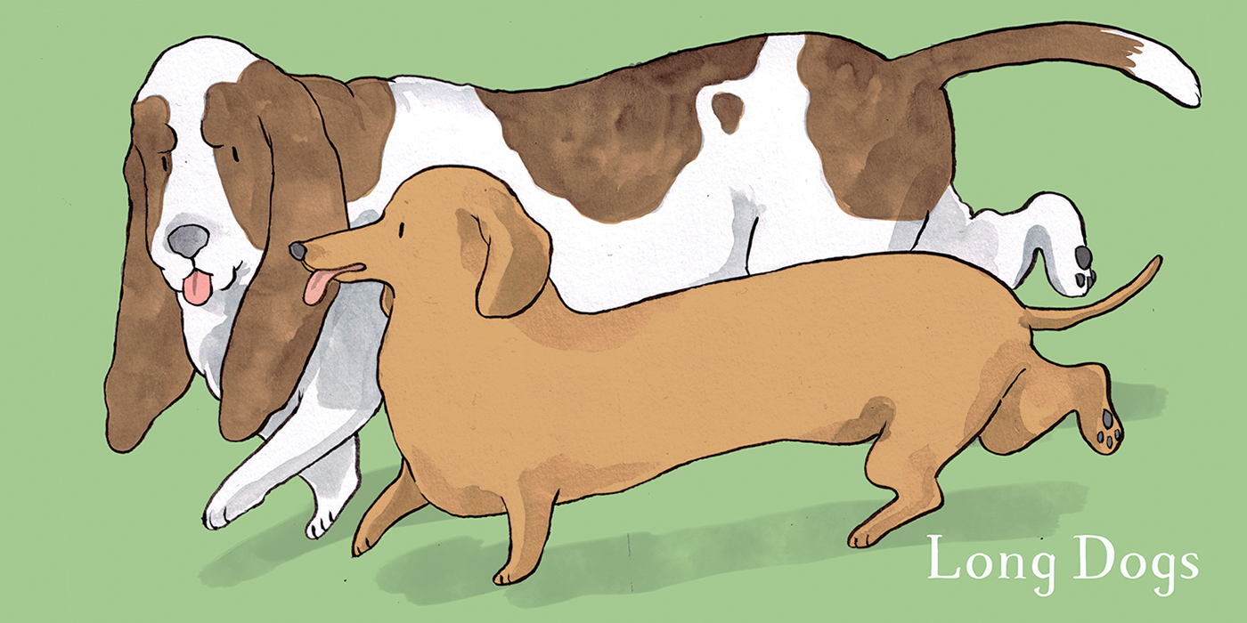 2 long.png