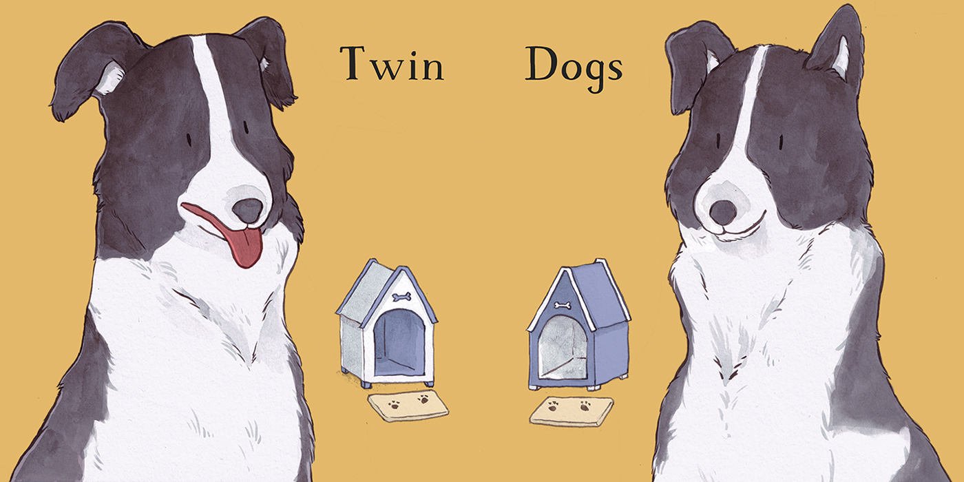 9 twin.png