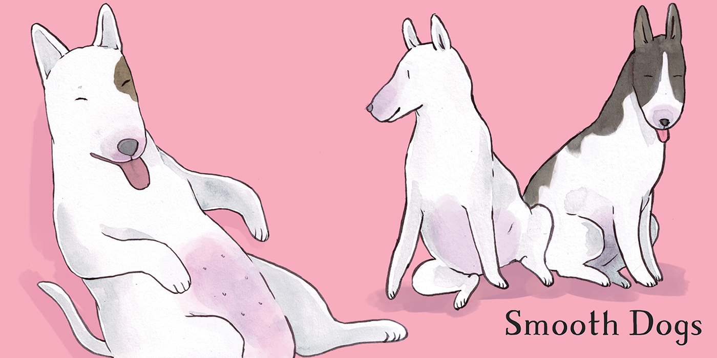 8 smooth.png