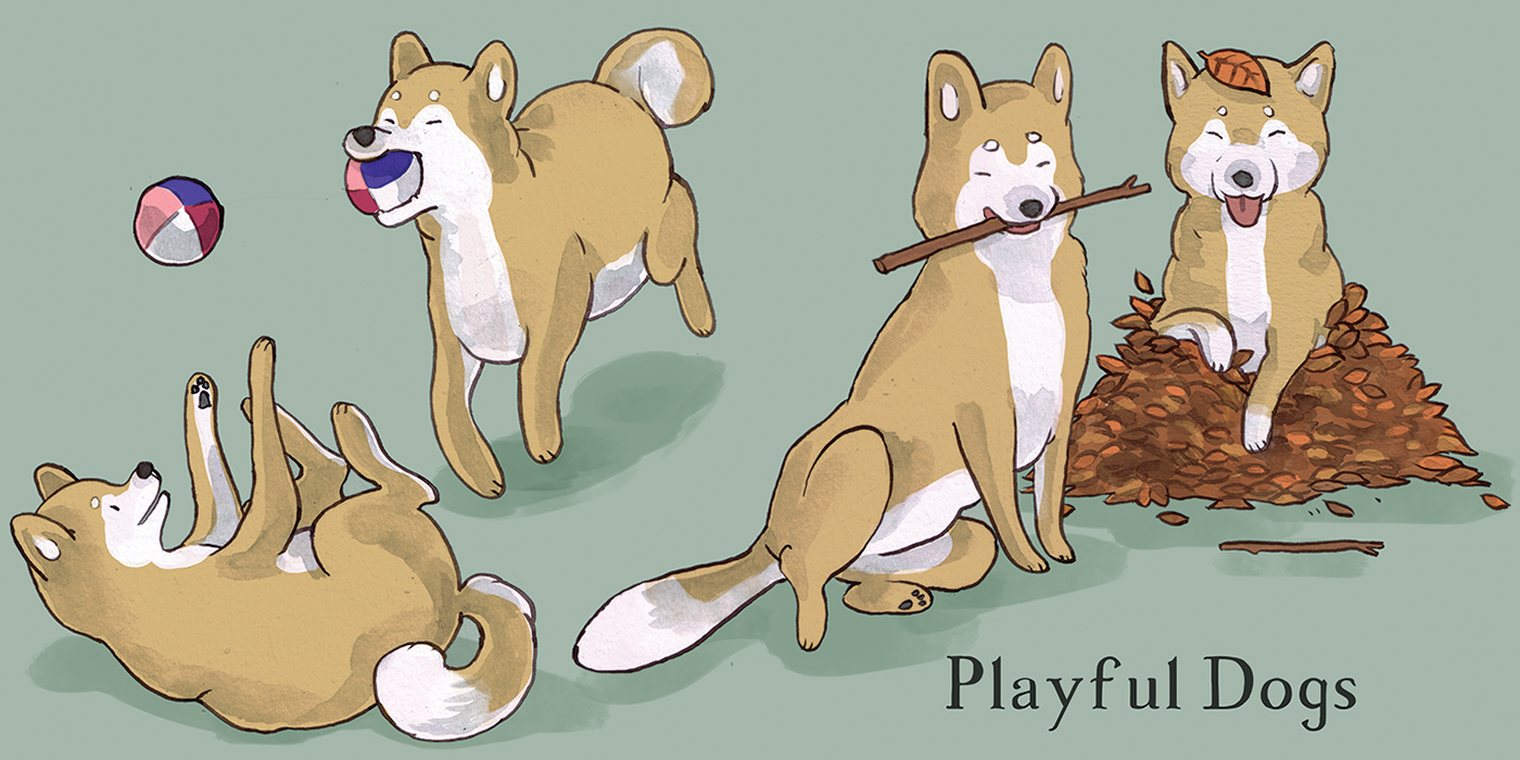 11 play.png
